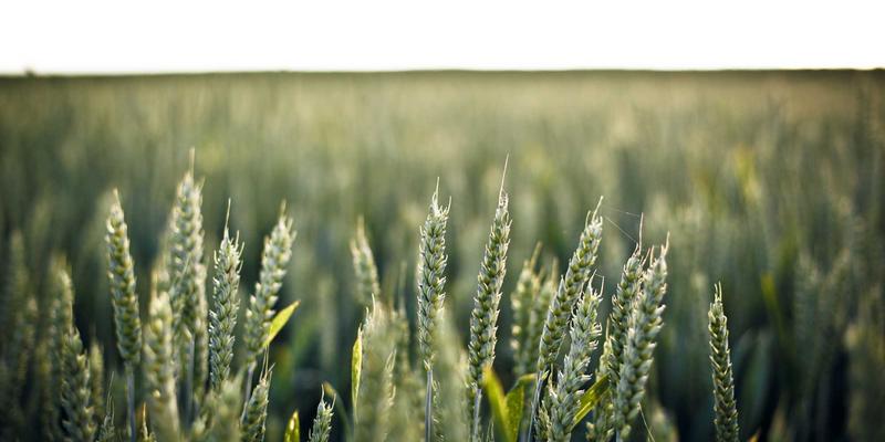 IPv6规模化部署：网络安全新挑战、迁移策略与关键技术解析