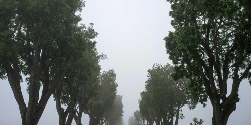 从Ansible到Terraform：网络自动化运维的进阶实践路径