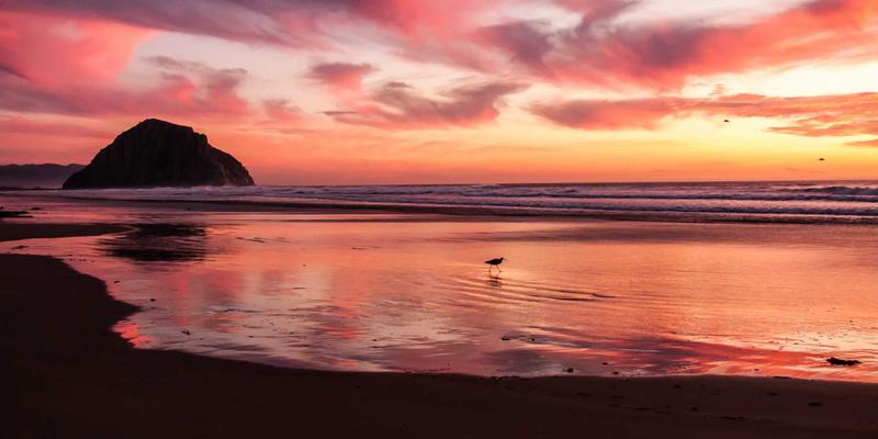 从赛博朋克到现实：基于意图的网络（IBN）架构如何引领网络自驱化革命