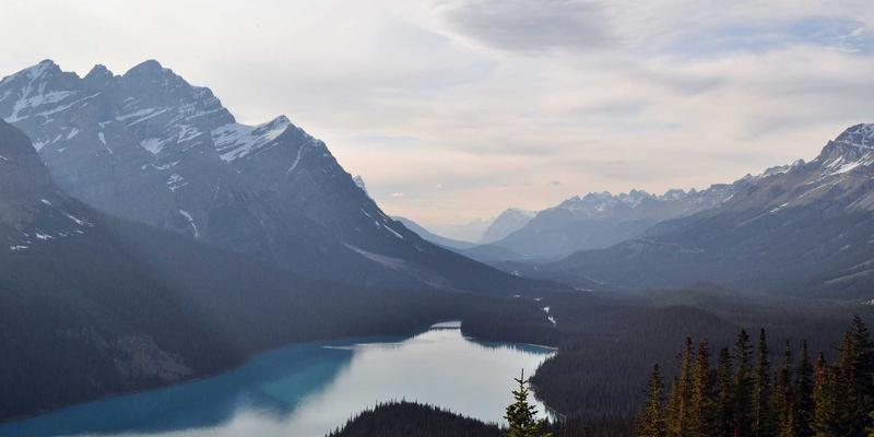 技术分享 | 从科技资讯到赛博朋克:解码网络知识新浪潮