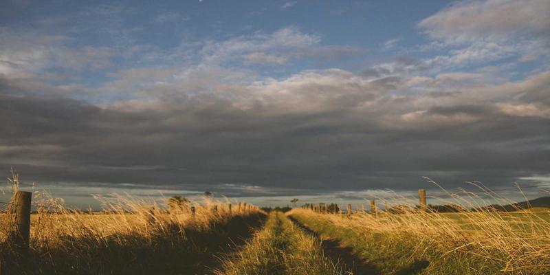 网络性能监控（NPM）与可观测性：从数据采集到智能洞察的编程实践