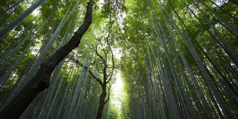 网络知识69：赛博朋克美学下的网络安全实战技术分享