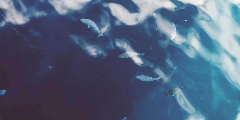 赛博朋克时代的网络基石：企业级Wi-Fi 6/6E部署的规划、优化与网络安全配置