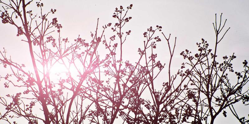 赛博朋克时代的网络基石：深度解析Wi-Fi 6技术如何重塑多设备连接体验