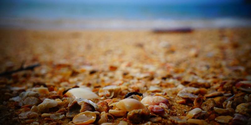 赛博朋克美学下的编程哲学：技术分享与开发实战指南