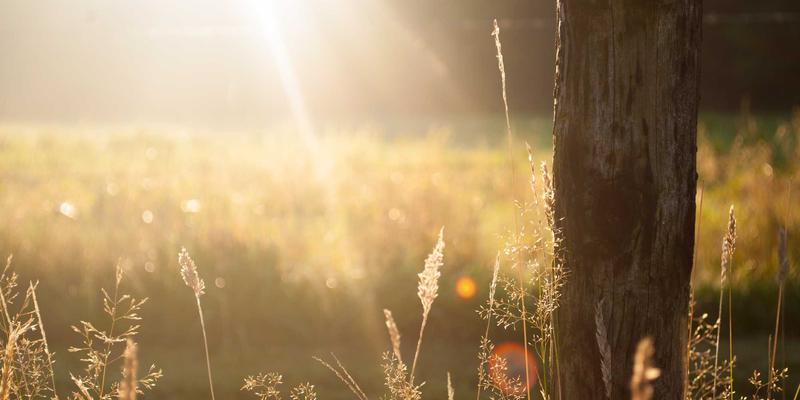 量子密钥分发（QKD）如何重塑国家级骨干网安全：技术实践与前沿挑战